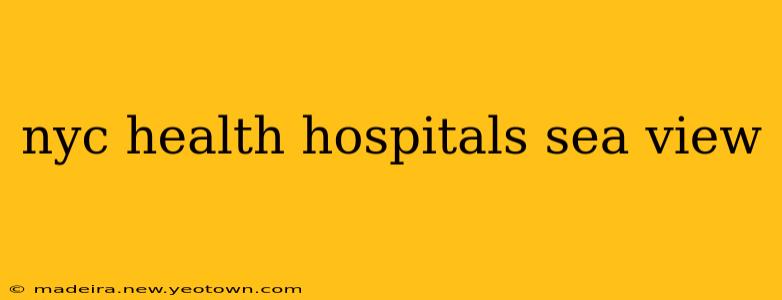 nyc health hospitals sea view