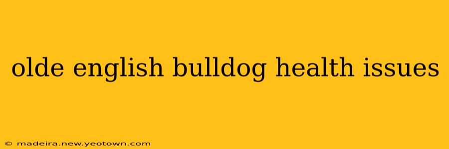 olde english bulldog health issues
