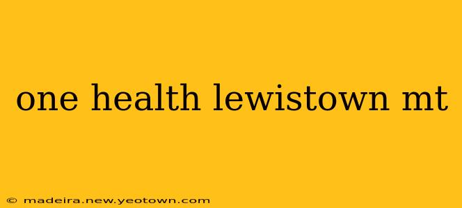 one health lewistown mt