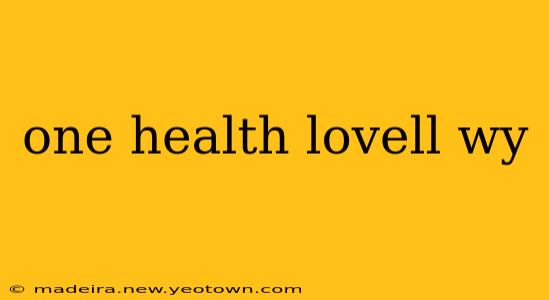 one health lovell wy