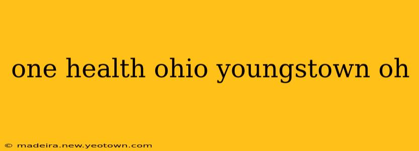one health ohio youngstown oh
