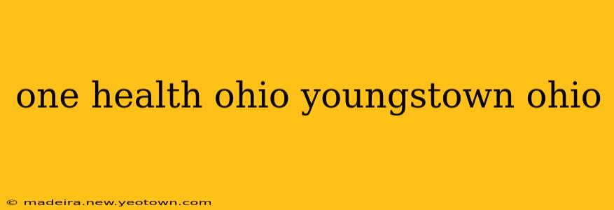 one health ohio youngstown ohio