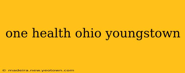 one health ohio youngstown