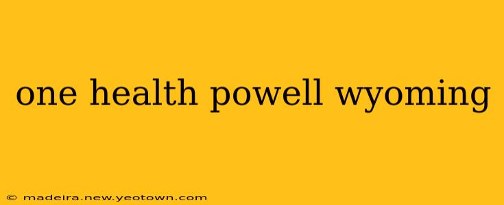 one health powell wyoming