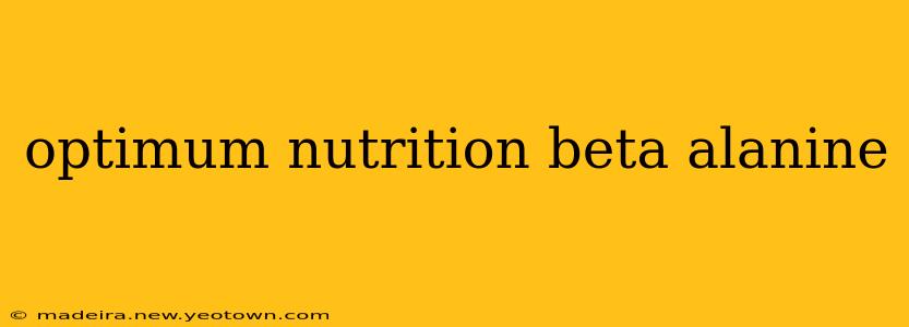 optimum nutrition beta alanine