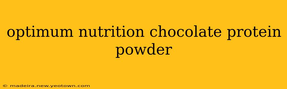 optimum nutrition chocolate protein powder