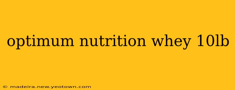 optimum nutrition whey 10lb