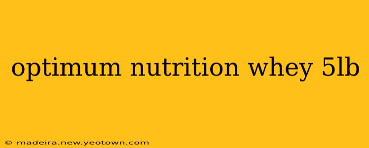 optimum nutrition whey 5lb