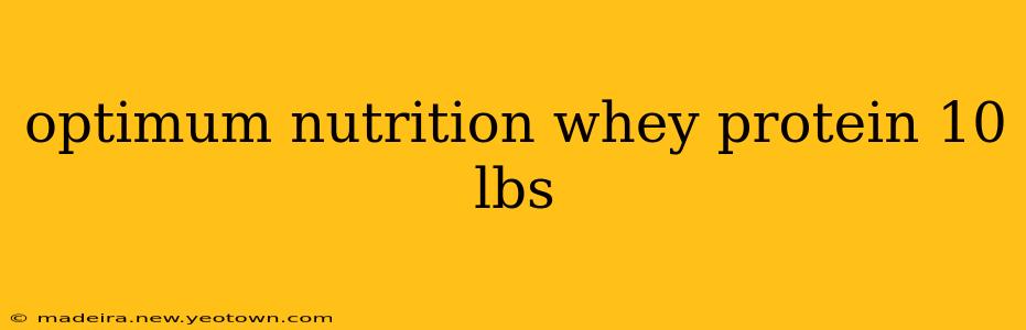 optimum nutrition whey protein 10 lbs