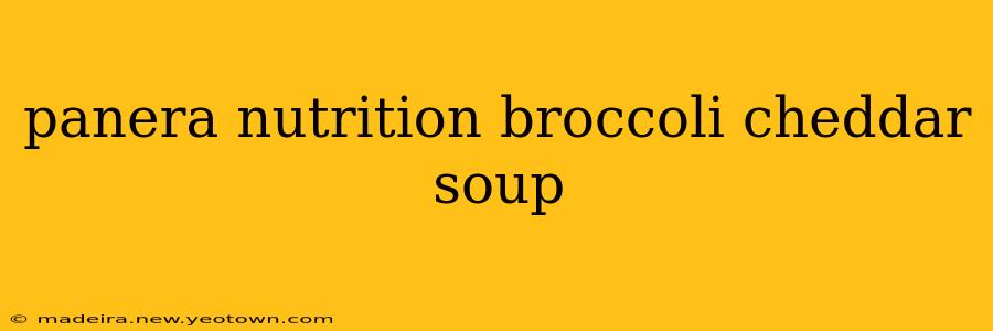 panera nutrition broccoli cheddar soup