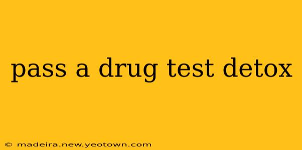 pass a drug test detox