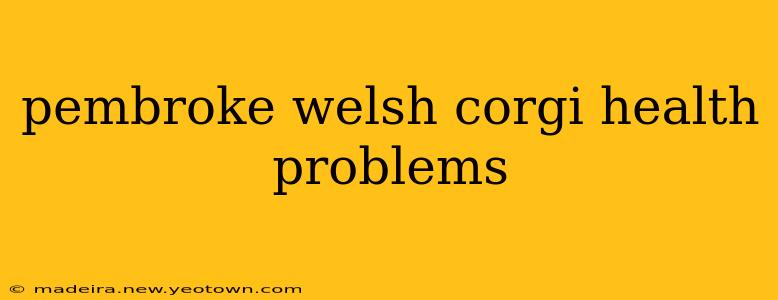 pembroke welsh corgi health problems