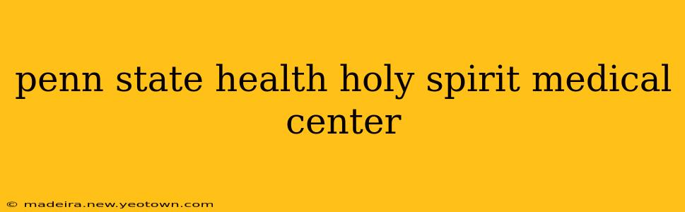 penn state health holy spirit medical center
