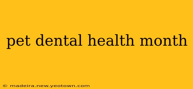 pet dental health month