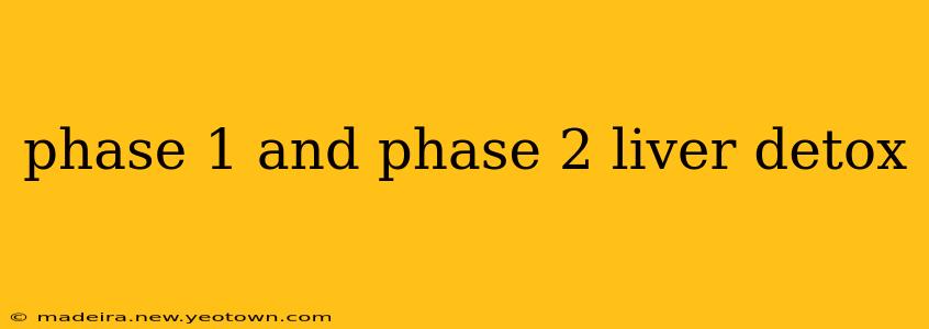 phase 1 and phase 2 liver detox