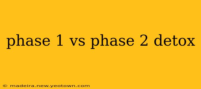 phase 1 vs phase 2 detox