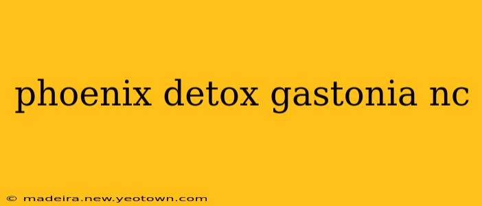 phoenix detox gastonia nc