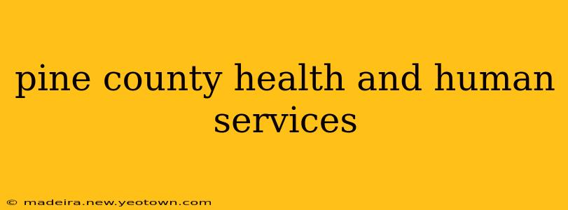 pine county health and human services