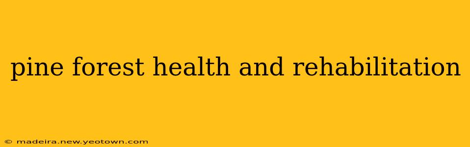 pine forest health and rehabilitation