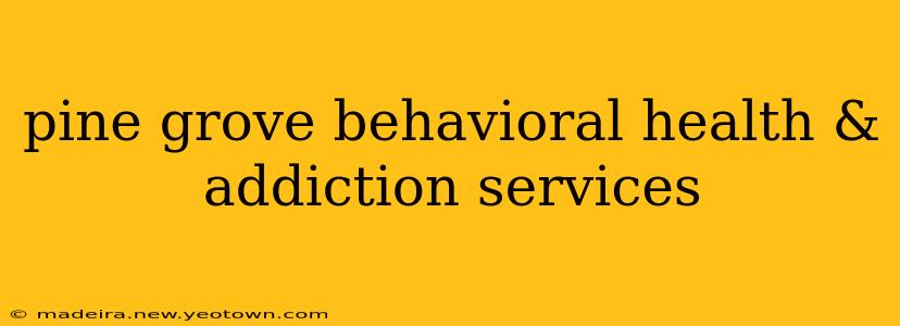 pine grove behavioral health & addiction services