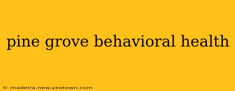 pine grove behavioral health