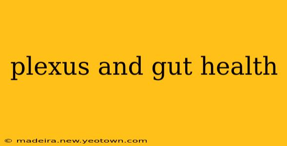 plexus and gut health