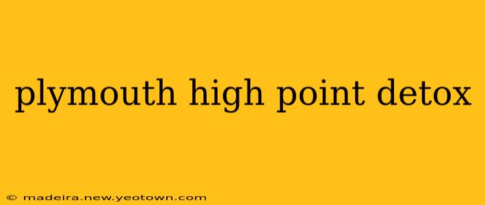 plymouth high point detox