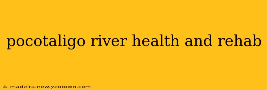 pocotaligo river health and rehab