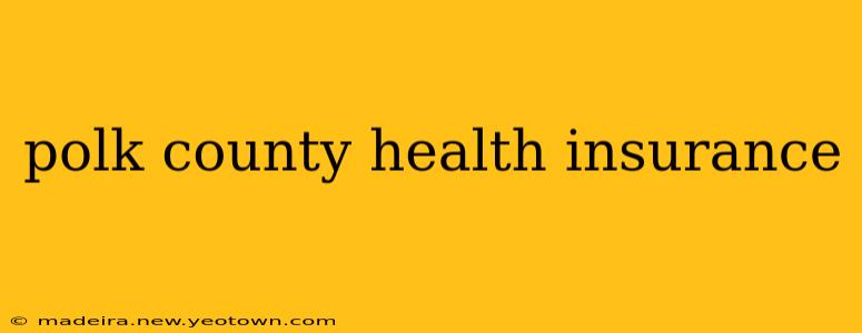 polk county health insurance