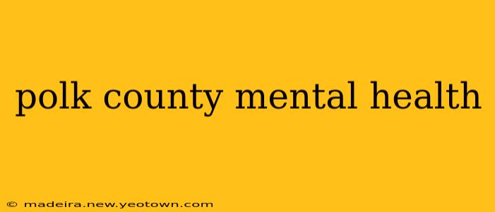 polk county mental health