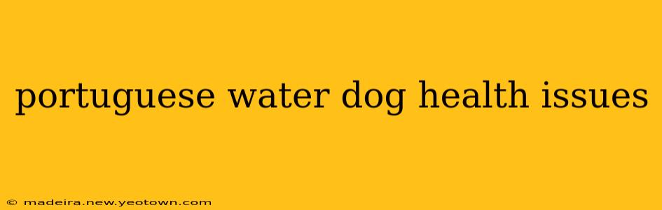 portuguese water dog health issues