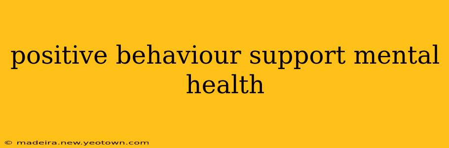 positive behaviour support mental health