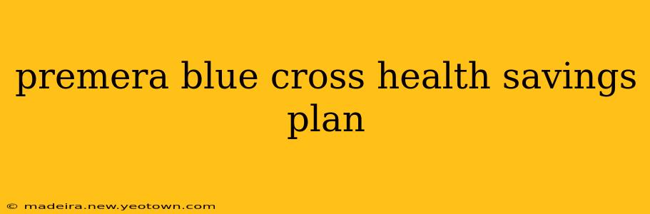 premera blue cross health savings plan