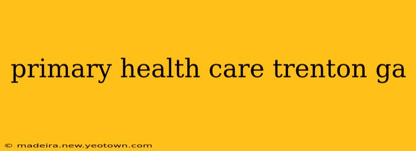 primary health care trenton ga