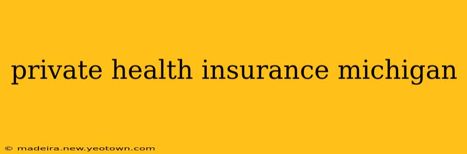 private health insurance michigan