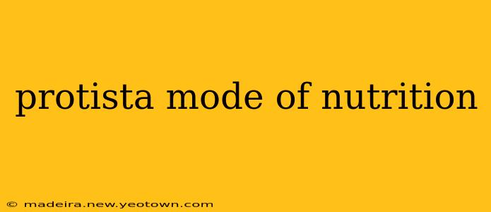 protista mode of nutrition