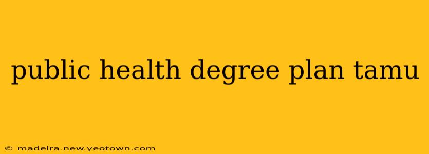public health degree plan tamu