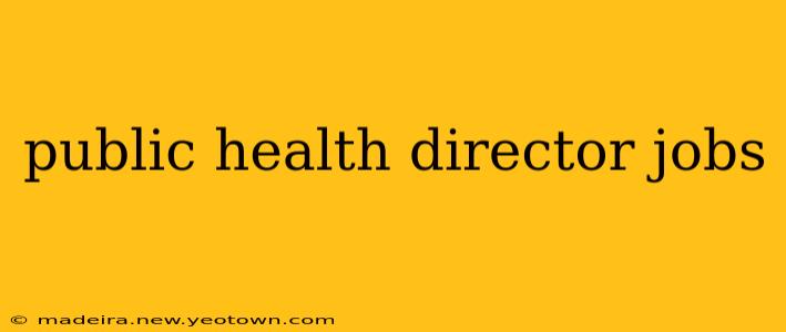 public health director jobs