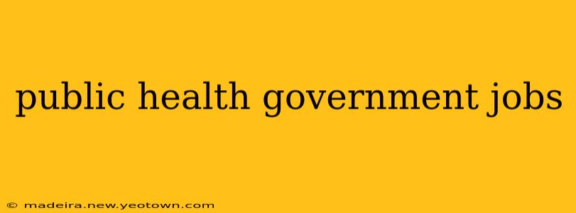 public health government jobs