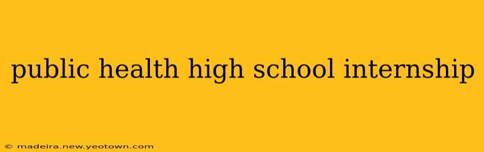 public health high school internship