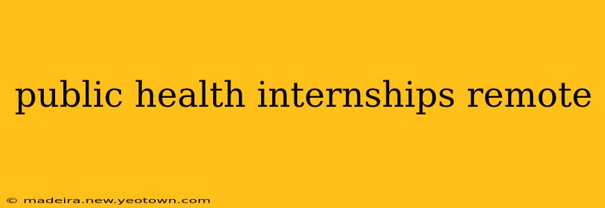 public health internships remote