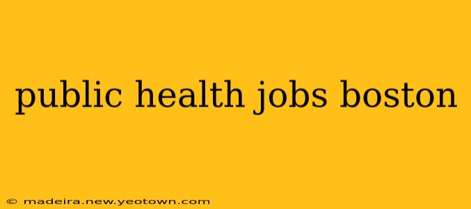 public health jobs boston