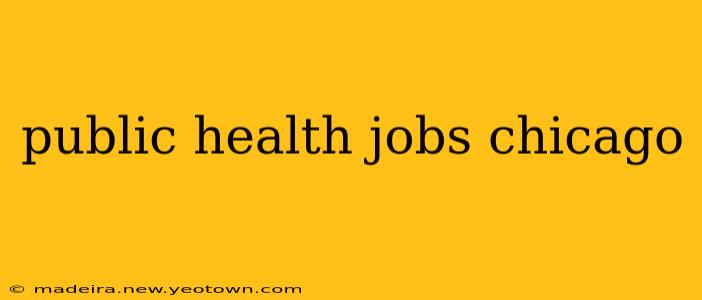public health jobs chicago