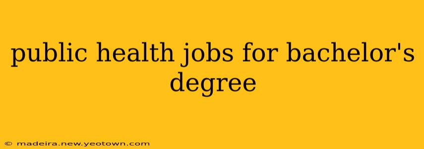 public health jobs for bachelor's degree