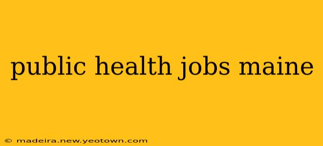 public health jobs maine