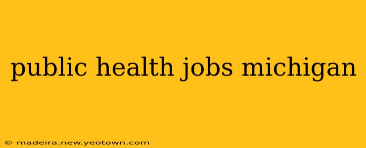 public health jobs michigan