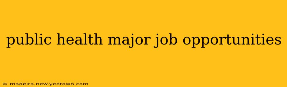public health major job opportunities