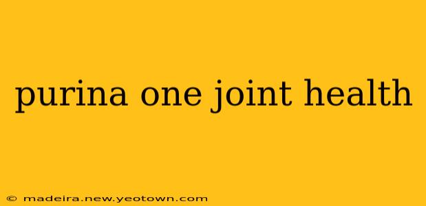 purina one joint health