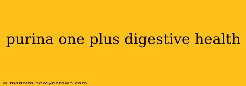 purina one plus digestive health