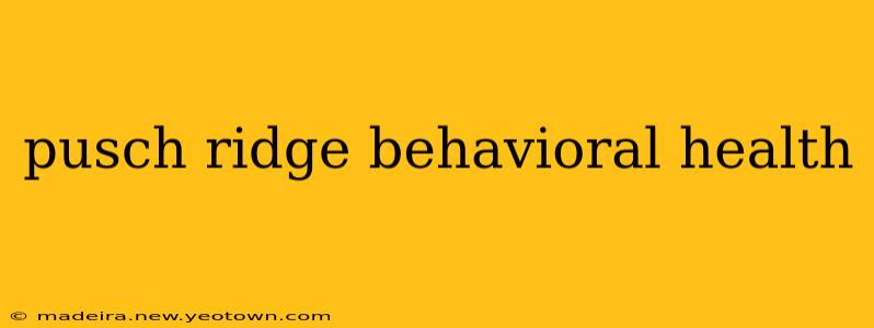 pusch ridge behavioral health